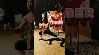 EAGLE CLAW TIGER STRIKE &mdash; Cat-Fight Kung Fu Explosion! 🐯🥋