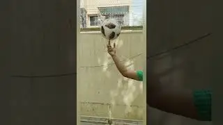 Football spinning on a finger tip