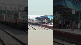 accident from dog at train 🚆🚆