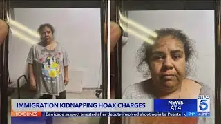 L.A. mother accused of faking immigration 'kidnapping'