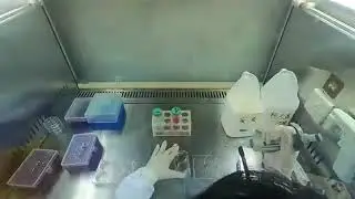 Cell Research Virus, Cancer | Medical wikipedia