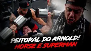 SUPERMAN VS HORSE | A REVANCHE