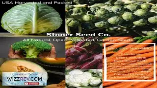 350+ Heirloom Vegetable Seed 7 Variety Garden Pack #1 Emergency Survival Non GMO