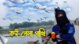 পাখি 🕊️ Pakhi | কই গেলা পাখি আমার কই গেলা পাখি (Slowed + Reverb) & [Bass Boosted] Queen Rupa 🥰 