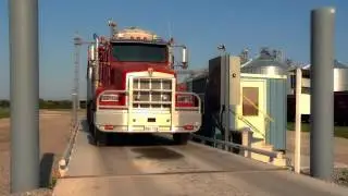Bug Free Grains | Stored Product Solutions