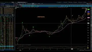 Eye of the Storm Podcast / GC,SI,PL Elliott Wave Weekly Update 1/11/2026 by Michael Filighera