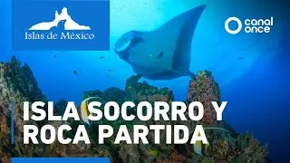Islas de M&eacute;xico - Isla Socorro y Roca partida