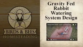 Raising Meat Rabbits: Gravity Fed Rabbit Watering System Design