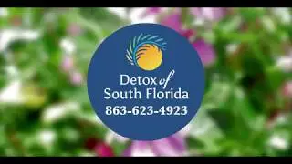 About Detox of South Florida Inc. - An overview of best drug rehab center in 2018