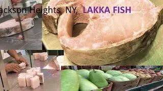 Jackson heights NY Bangladeshi Store I Giant Lakka Fish Piece lI Jackson Heights Fish Store