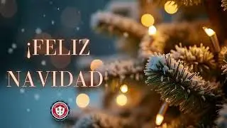 FELICITACIÓN NAVIDAD 2025