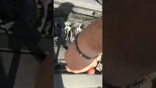 prova di compressione fascie o valvole?