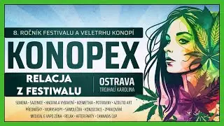 Targi Konopex 2025 w Ostrawie - Relacja z &oacute;smej edycji czeskiego festiwalu konopnego