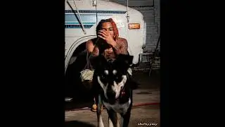 [FREE] YSN Flow Type Beat 2025 - 
