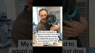 I love him so much❤️#dog #dad #shelter #rescue #story #usa