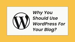 Why You Should Use WordPress For Your Blog