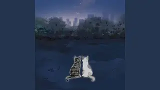 At First Sight