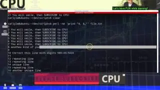 Perl: Numbering a file or adding line numbers with Perl