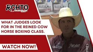 What Judges Look For In The Reined Cow Horse Boxing Class.