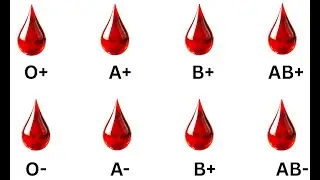 “Your Blood Type Has a Hidden Power (Most People Don’t Know This)”