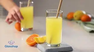 Highball Glass Set. Cocktail / Juice / Water Glasses. (Pack of 6) (295 cc/ml)