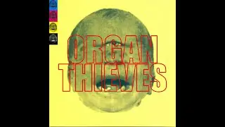 Big Thumbs (S.N.F.U Cover) by Organ Thieves