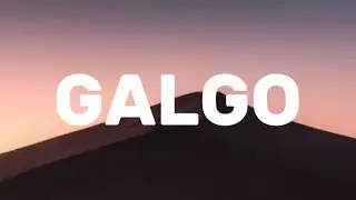 Belén Aguilera - GALGO (Letra/Lyrics)