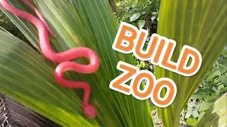 BUILD ZOO 🤗 (Ideas for building a zoo)