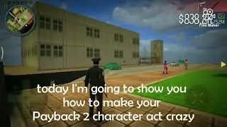 An awesome way to make your character crazy in Payback 2 👍👏👌