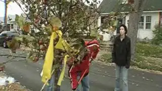 StreetTrees.wmv