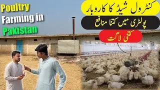 Control Shed poultry farming in Pakistan | Poultry Farming Me Kitna Profit ha?