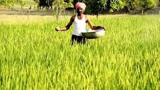 Charming Village Background Music: No Copyright Melodies for Relaxation and Creativity