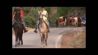 Villaverde de Guadalimar. Fiestas 2016. Verea.