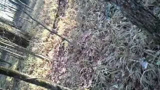 Hunting in Sardus