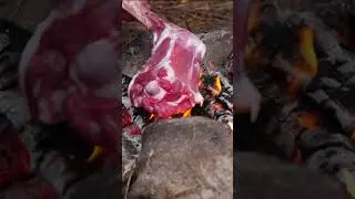 Приготовление волка в дикой природе