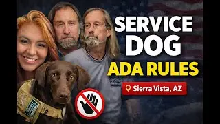 Service Dog Etiquette & ADA Rights (Arizona): What Businesses CAN Ask + PTSD Alerts Sierra Vista AZ