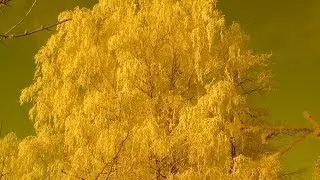Drum and Bass - Dj PanJan Vinyl mix Hard DnB Live at (Neurotronic party 11-10-2013CZ) HQ HD