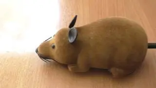 Remote Control Mouse