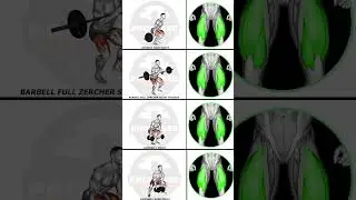 &ldquo;Quad Training Done Right: Form, Range of Motion, and Tension That Build Real Lower-Body Strengt