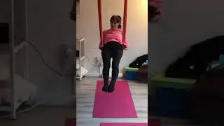 Aerial Yoga Inversion
