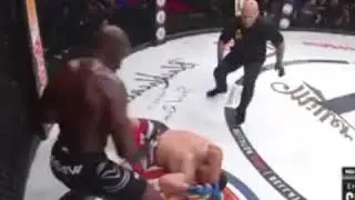 Cheick Kongo knockouts  Javy Ayala at bellator 199