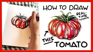 How To Draw A Realistic Tomato With Acrylic Markers (Easy Real Time Art Tutorial)