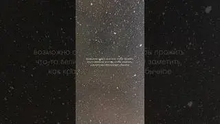 29 января 2026 г.