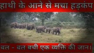 हाथी के आने से मचा हड़कंप।बल–बल बची एक व्यक्ति की जान।