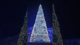 Bari, Italy - Christmas lights slow walk in the city of St. Nicholas (Santa Claus) | December 27