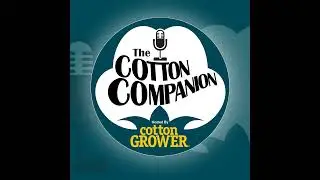 Episode 52 &ndash; Market Facilitation Payments!