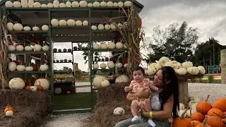 First Time at a Pumpkin Patch (The Berry Farm) in Miami | Fall Activities in Florida