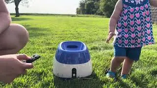 Automatic Dog Ball Launcher Unboxing, Demonstration and Review 