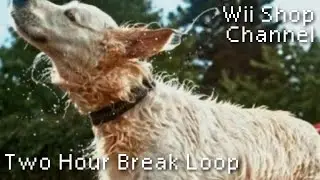 Wii Shop Channel |  2 Hour Continuous Loop | 2024