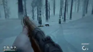 The Long Dark - SURVIVAL - Stalker Difficulty - P3 - Parasites and Wolves